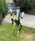 3 Park; 3 Park 33" Halloween Tuxedo Skeleton Metal Yard Stakes Set; Category:Halloween Yardstakes; Image:3